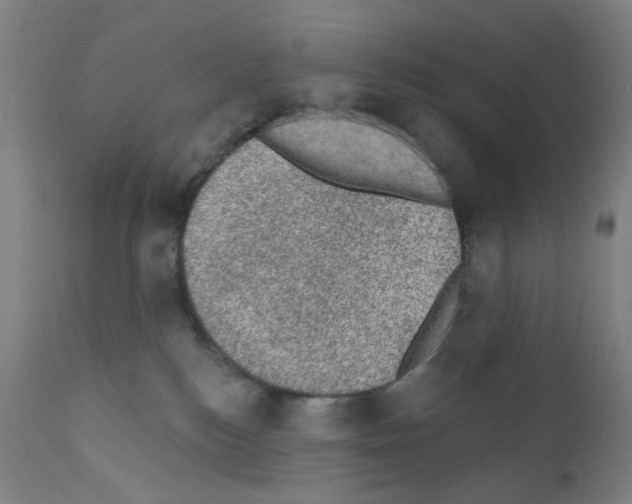 X0000110940184200907311025