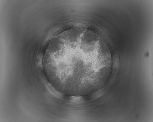 X0000110940185200907311025