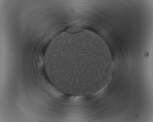 X0000110940186200907311025