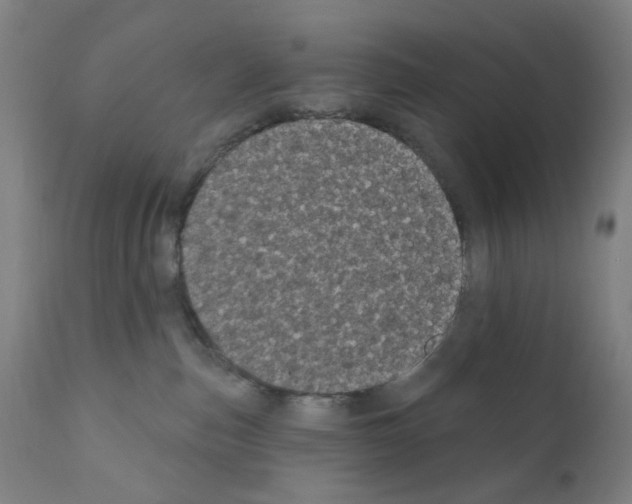 X0000110940187200907311025