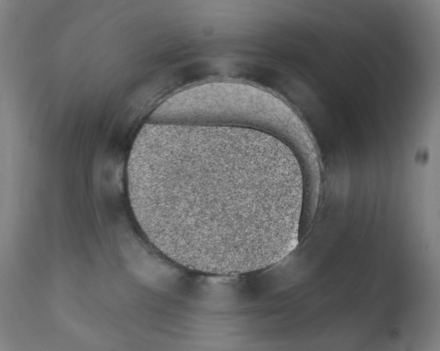 X0000110940188200907311025