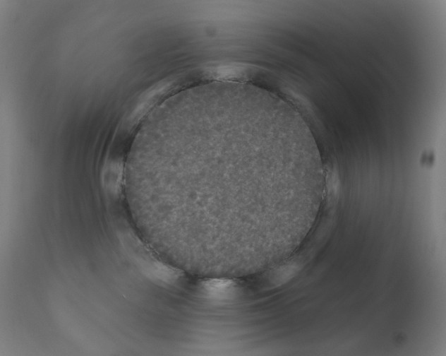 X0000110940189200907311025