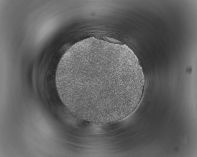 X0000110940190200907311025