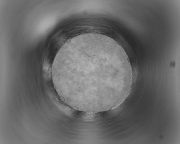 X0000110940191200907311025