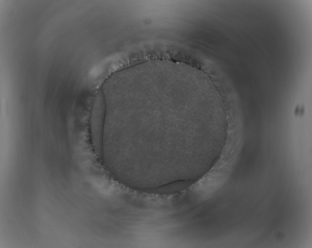 X0000110940192200907311025