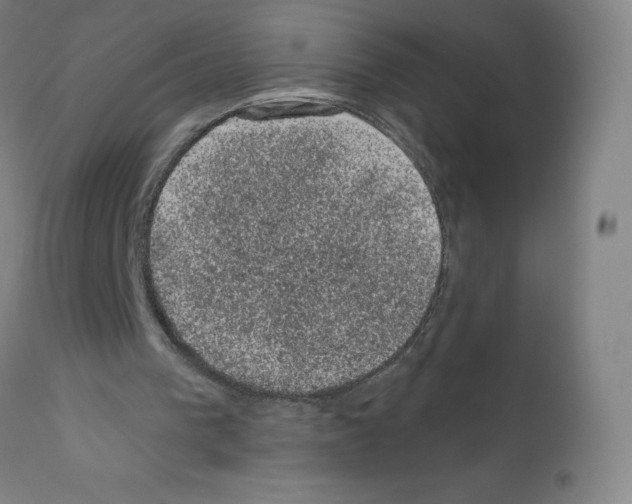 X0000110940193200907311025