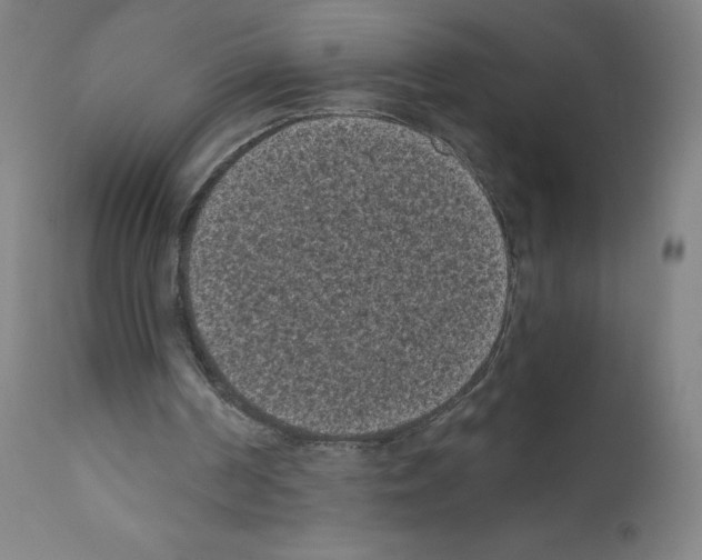 X0000110940194200907311025