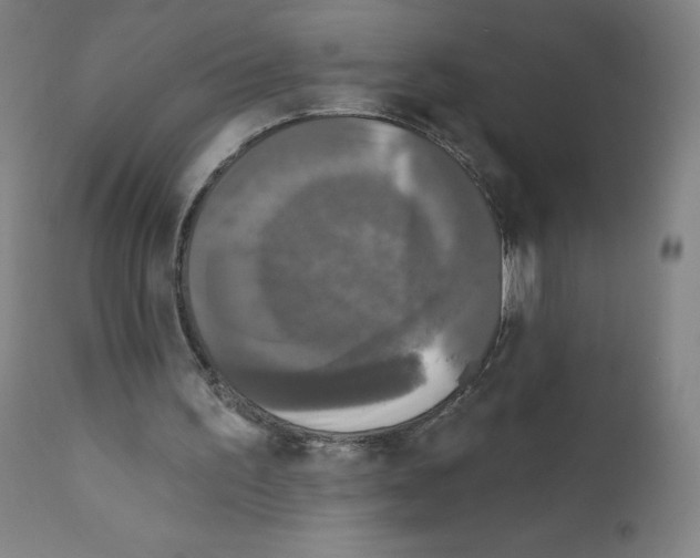 X0000110940195200907311025