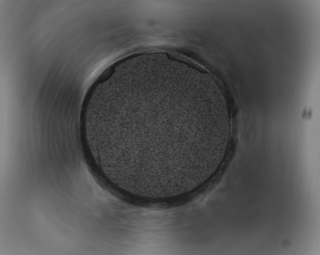 X0000110940196200907311025