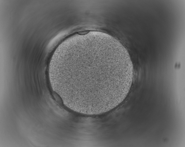 X0000110940197200907311025