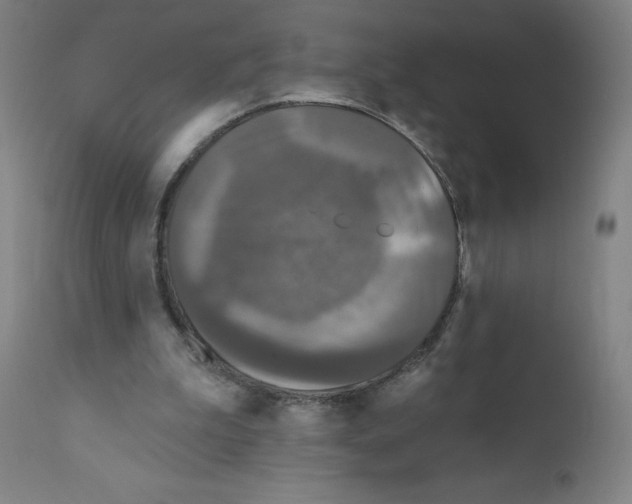 X0000110940199200907311025