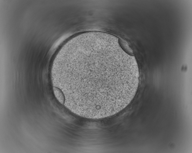 X0000110940200200907311025