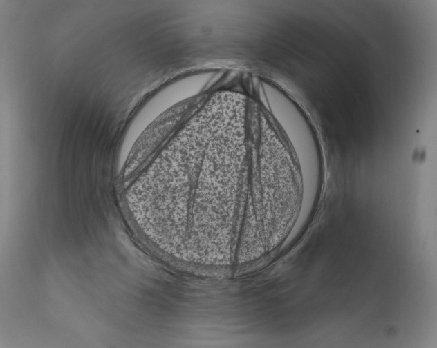 X0000110940201200907311025