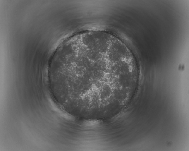 X0000110940202200907311025