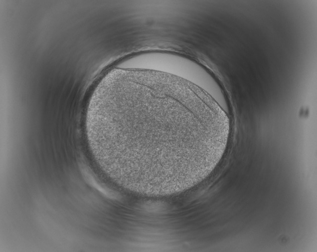 X0000110940203200907311025