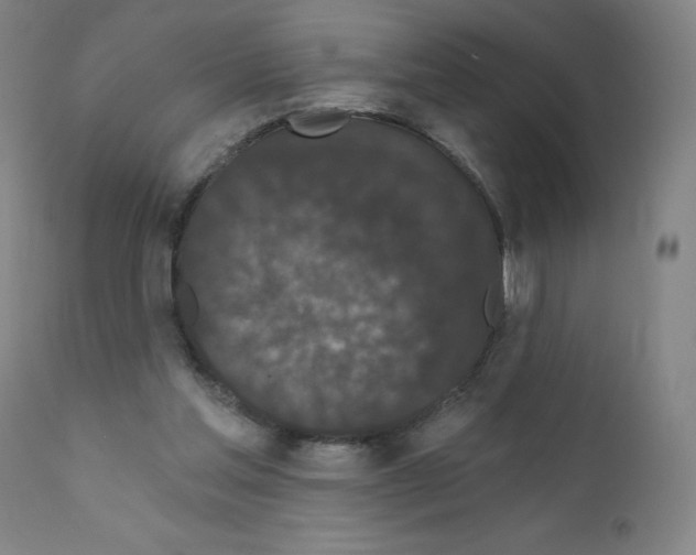 X0000110940205200907311025