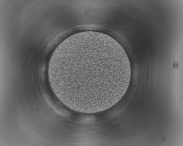 X0000110940206200907311025