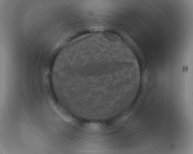 X0000110940209200907311024