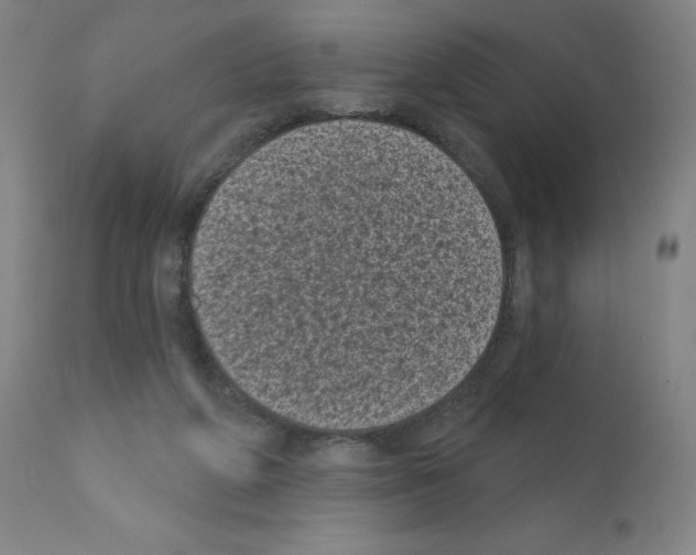 X0000110940210200907311024
