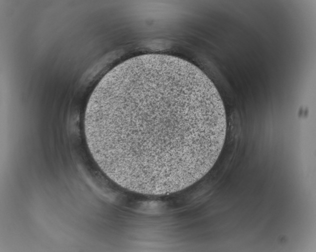 X0000110940212200907311024