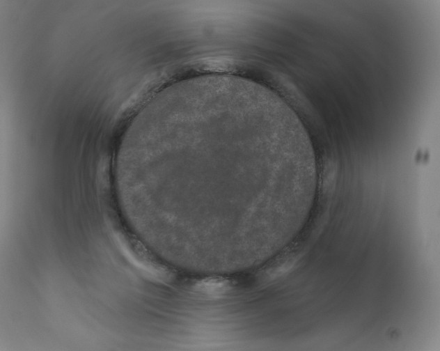 X0000110940213200907311024