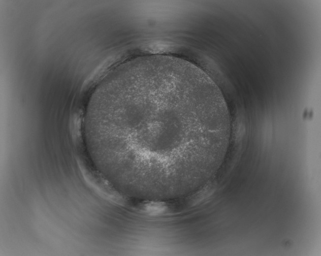 X0000110940214200907311024