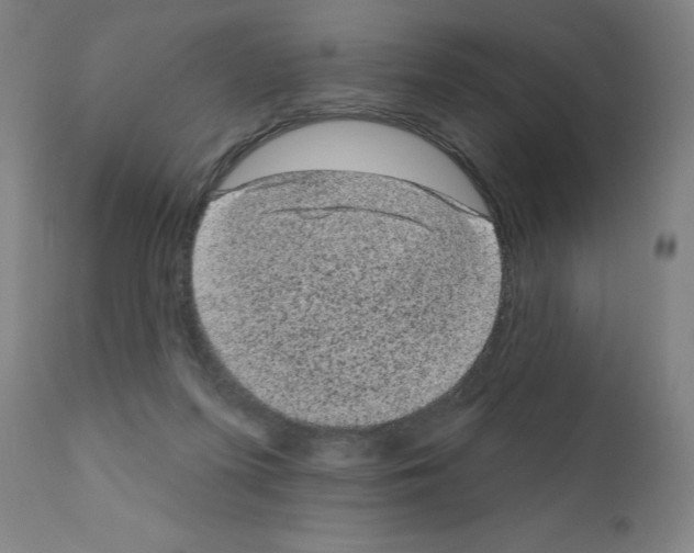 X0000110940215200907311024