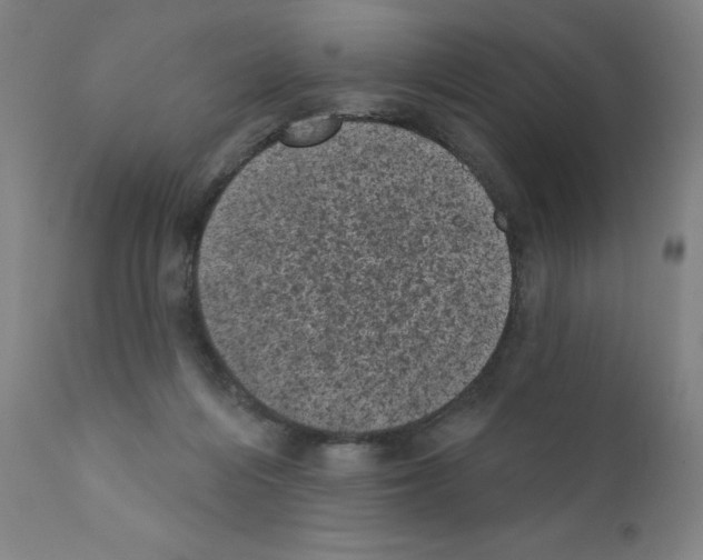 X0000110940216200907311024