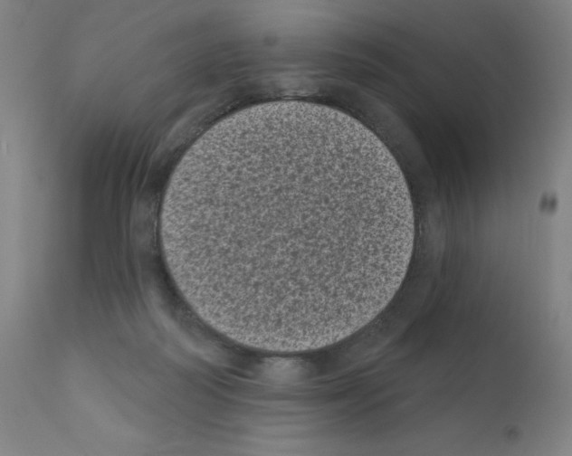 X0000110940218200907311024