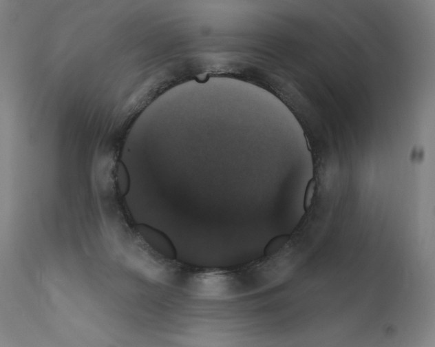 X0000110940219200907311024