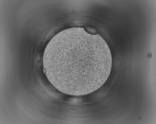 X0000110940220200907311024