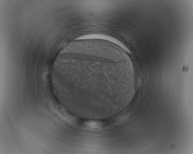 X0000110940221200907311024