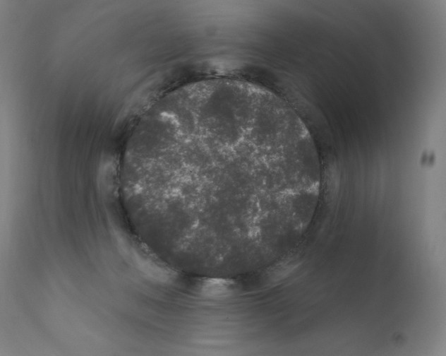 X0000110940222200907311024