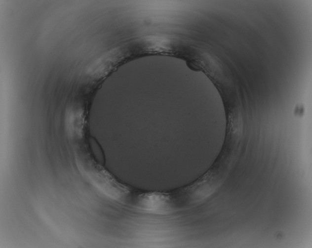 X0000110940223200907311024