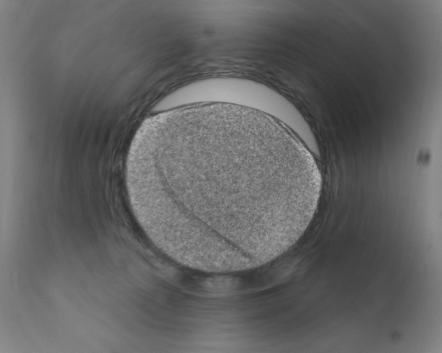 X0000110940225200907311024