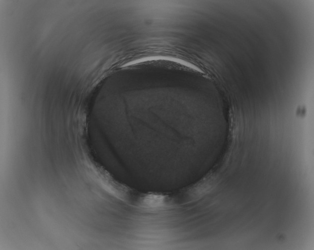 X0000110940227200907311024