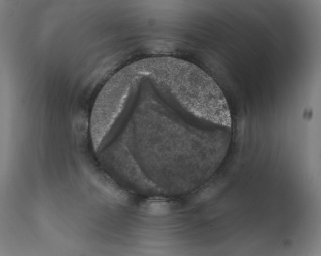 X0000110940228200907311024