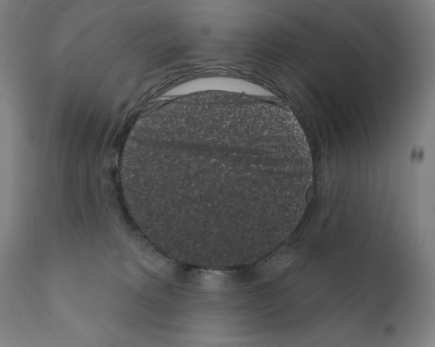 X0000110940229200907311024