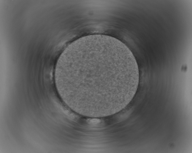 X0000110940230200907311024