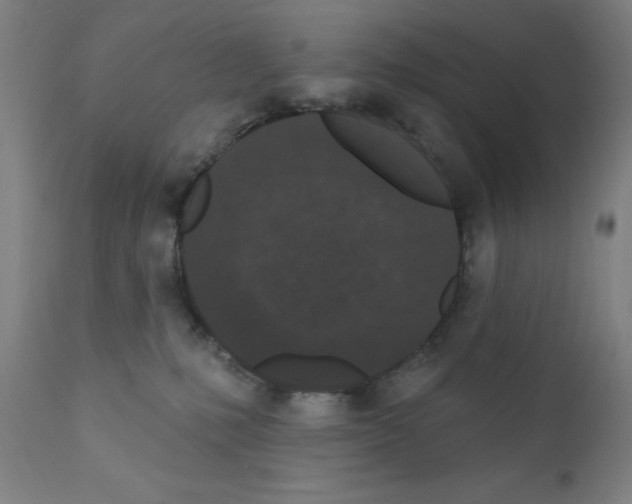 X0000110940231200907311024