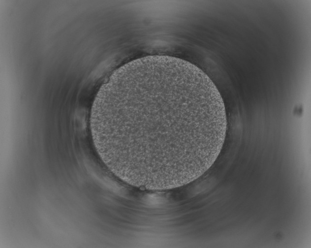 X0000110940232200907311024
