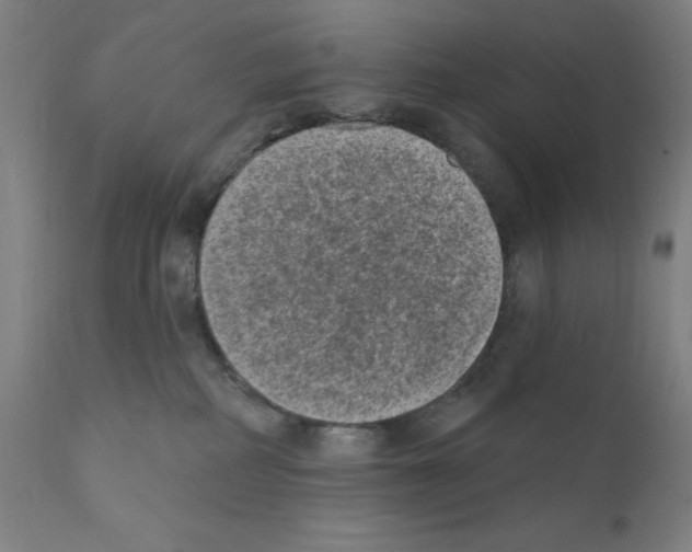 X0000110940234200907311024