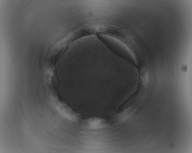 X0000110940235200907311024
