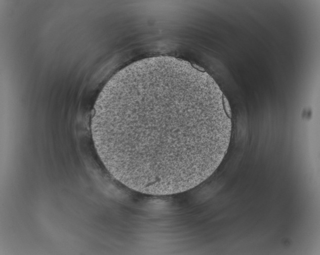 X0000110940236200907311024