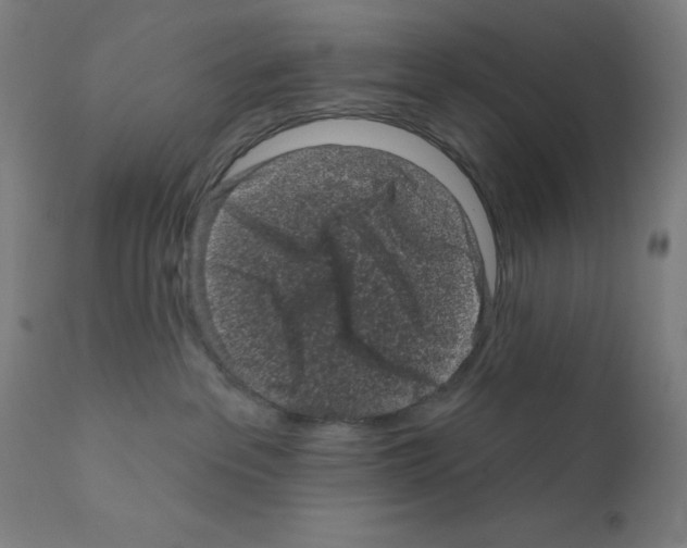 X0000110940237200907311024
