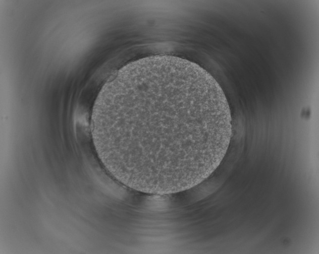 X0000110940238200907311024