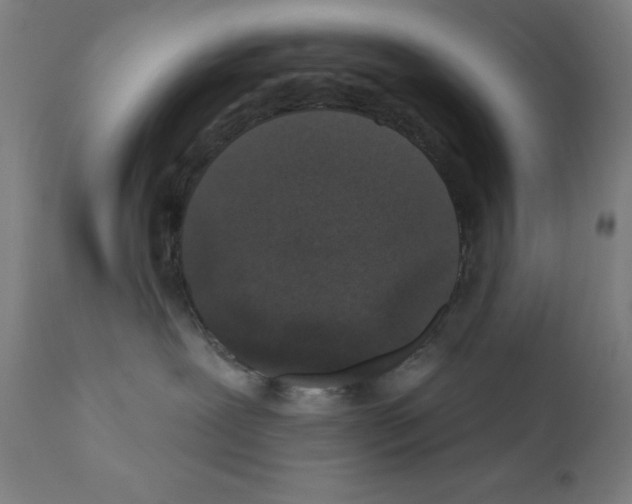 X0000110940239200907311024