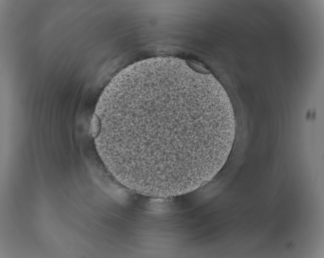 X0000110940240200907311024