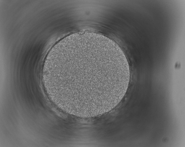 X0000110940241200907311023