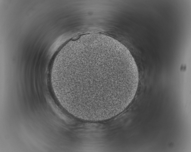 X0000110940242200907311023